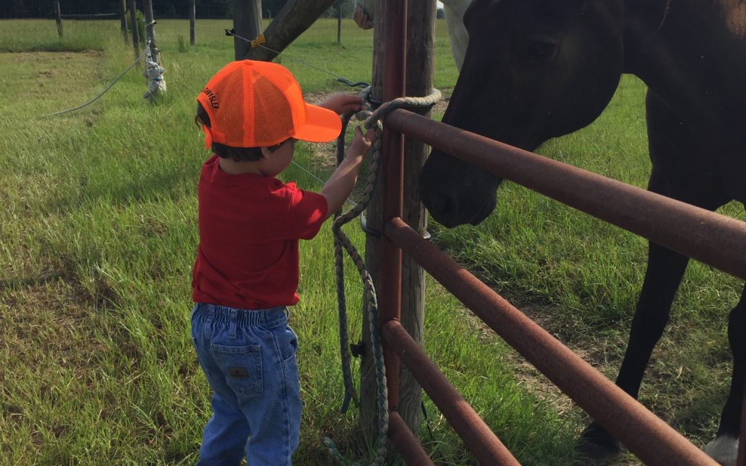 Saturated With Summer; Ready For A Change