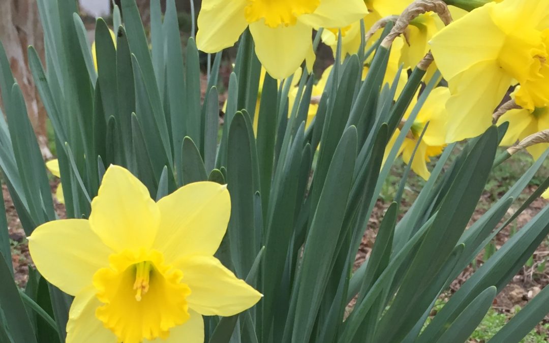 Please Help Me To Be Nice